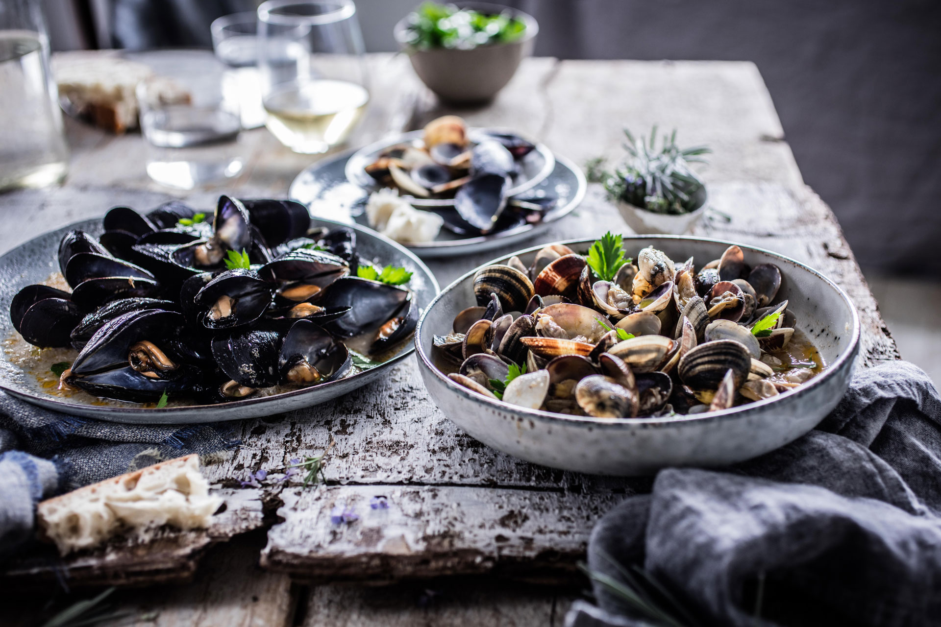 Gastro, sea food Maja Danica Pečanić