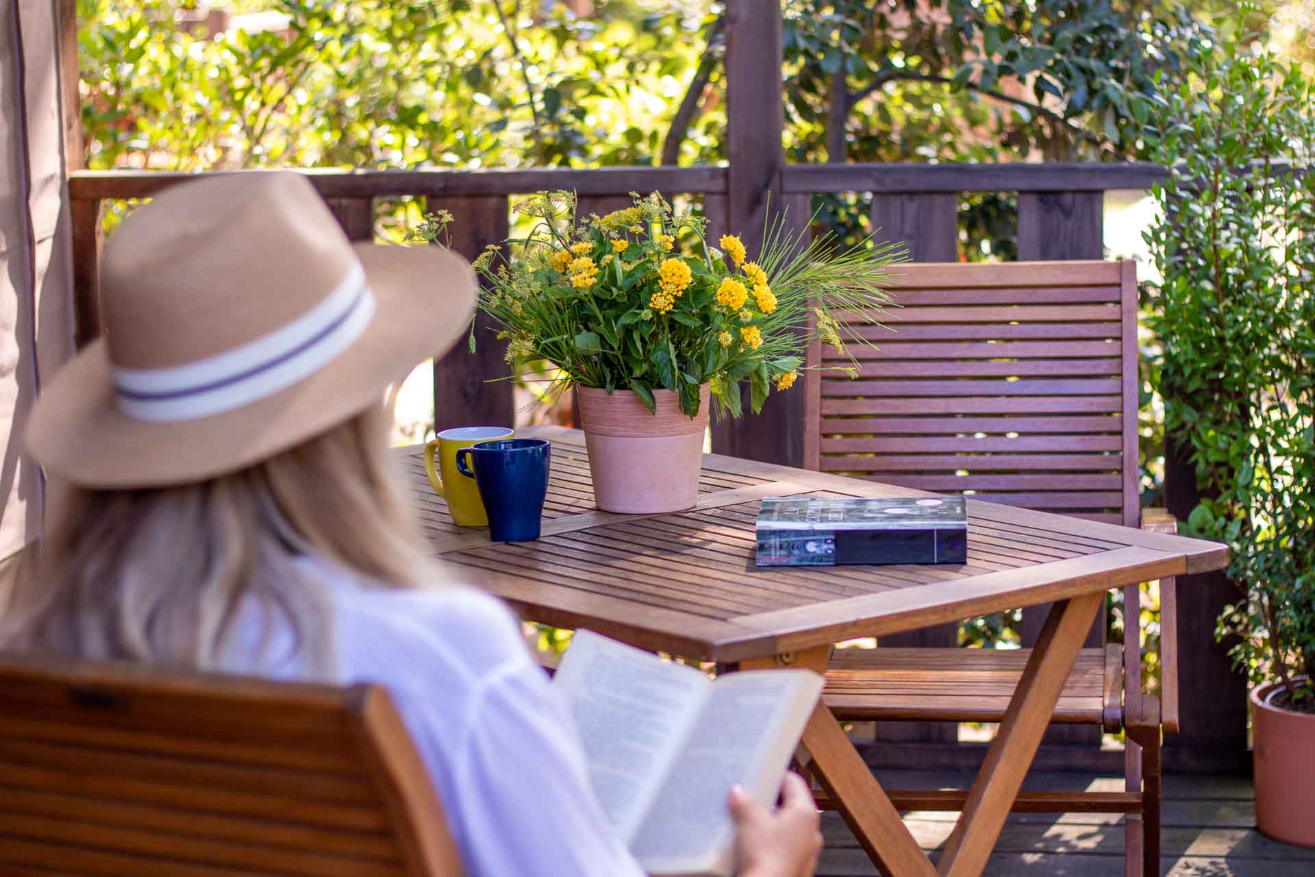 Go on safari in zaton Go on safari in zaton