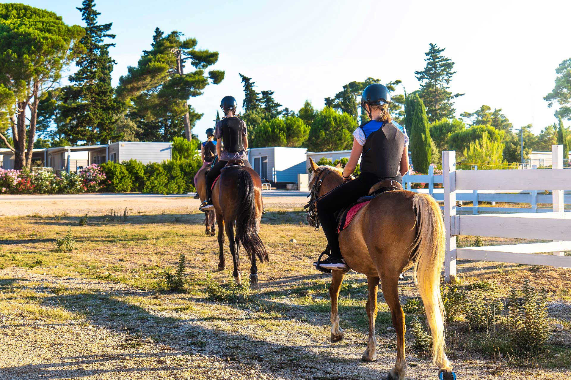 Activities in Zaton Holiday Resort Activities in Zaton Holiday Resort