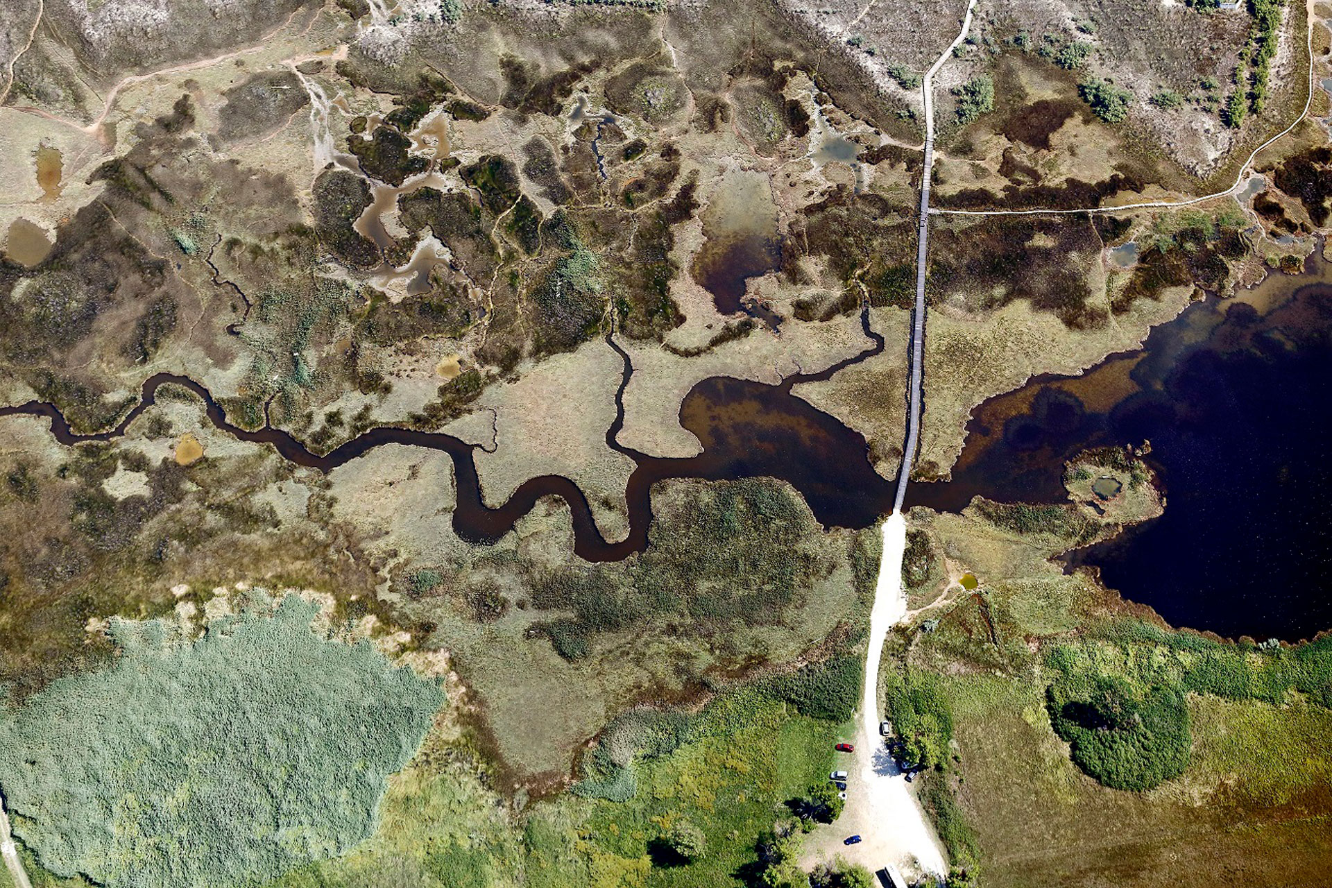 Medicinal Mud, Nin Lagoon Boris Kacan