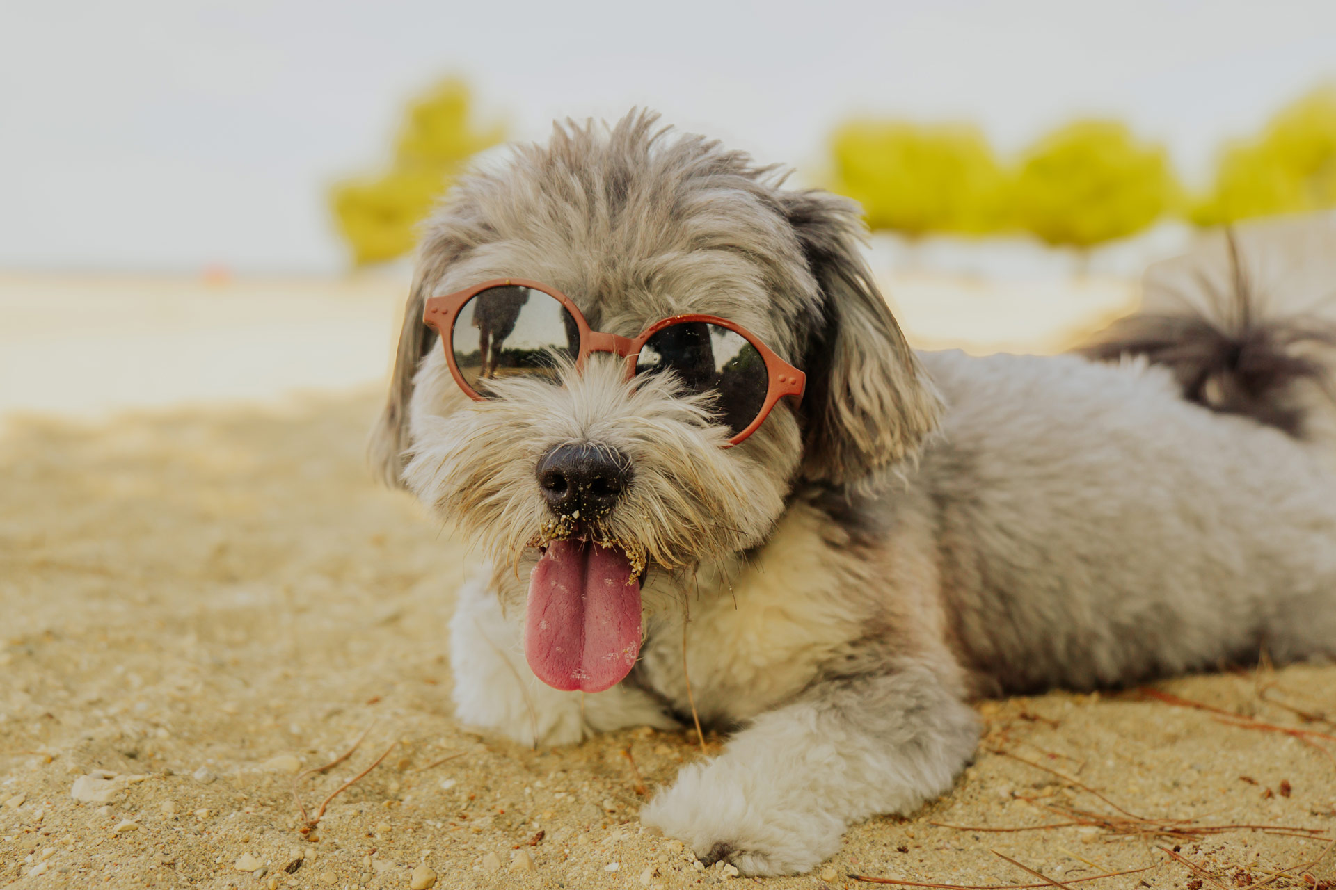 Zaton Holiday Resort - Pet Friendly Zaton Holiday Resort - Pet Friendly