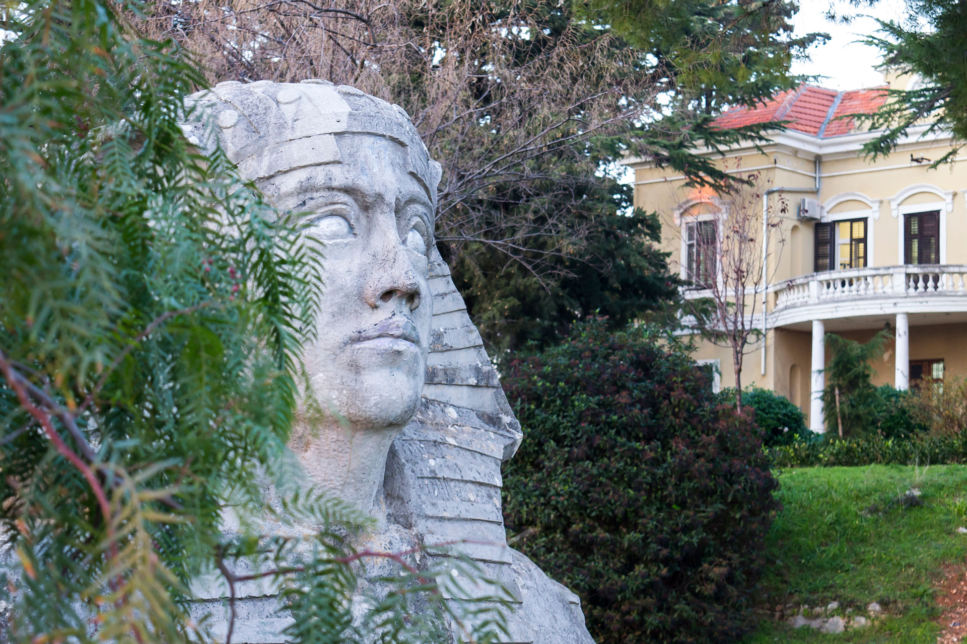 Sphinx of Zadar Sphinx of Zadar
