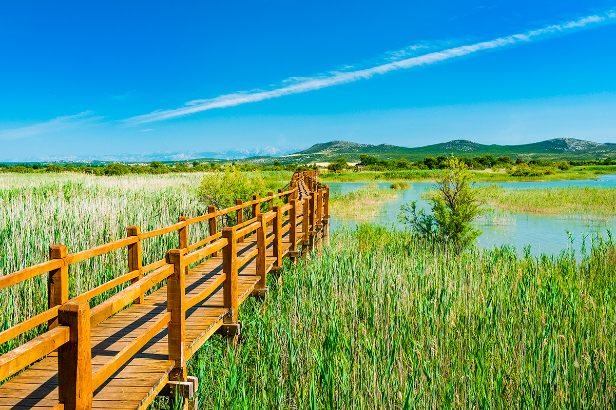 Wooden path in Vrana Lake Nature Park (Vransko jezero)