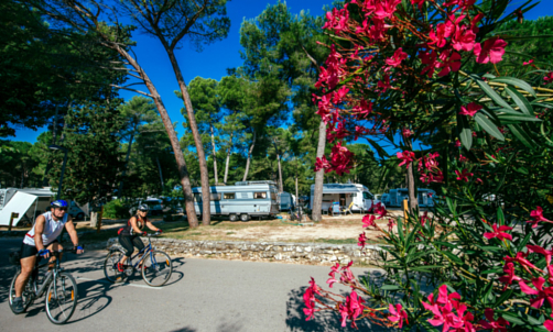 Die Zadar Region mit dem Fahrrad entdecken