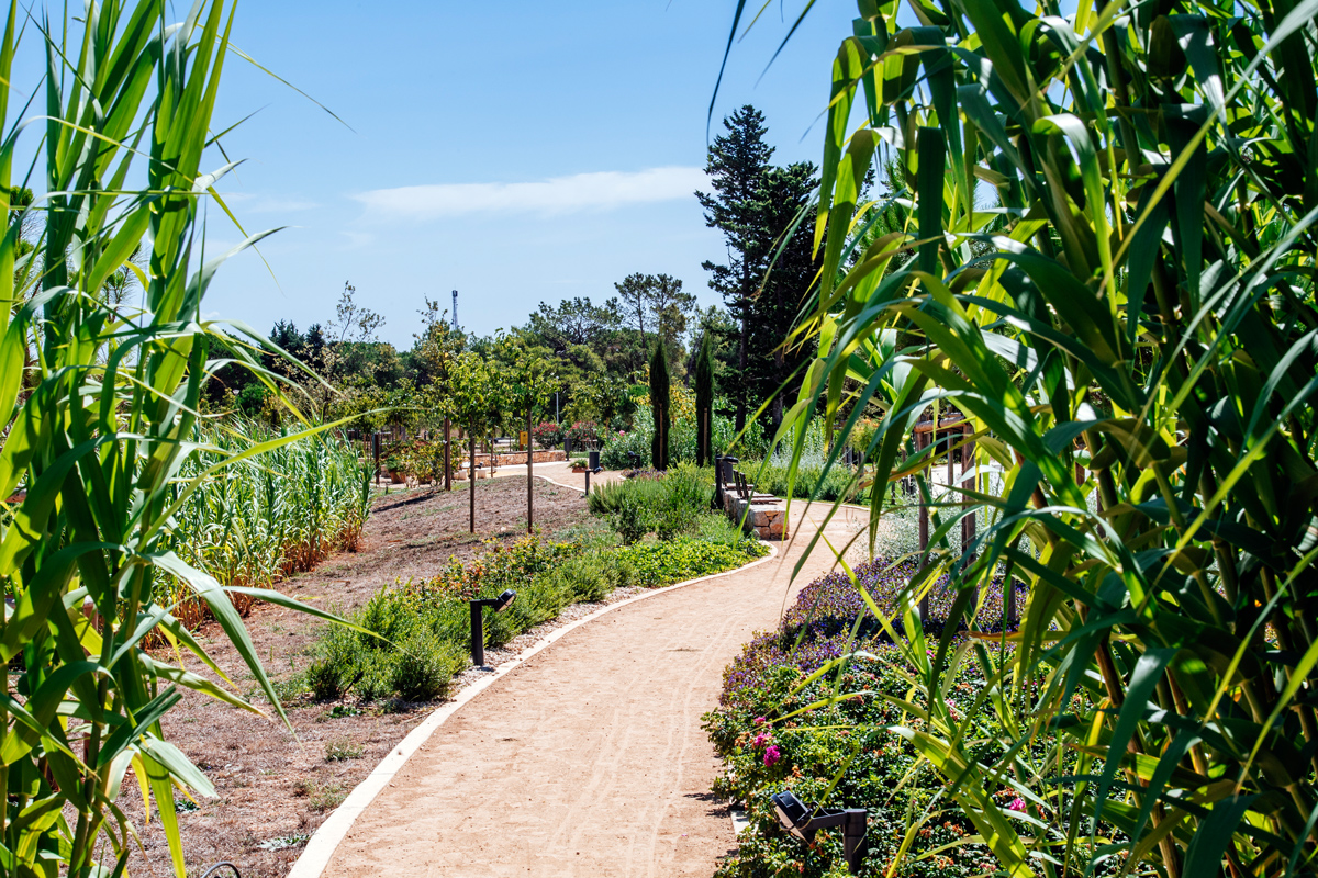 Well-tended Mediterranean greenery at Zaton Holiday Resort