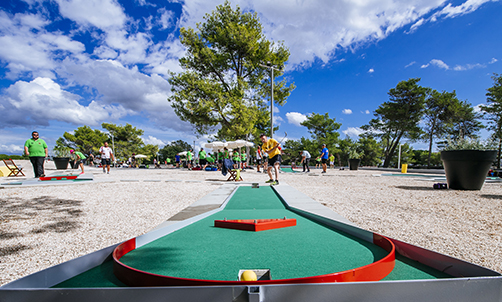 Mini golf championships